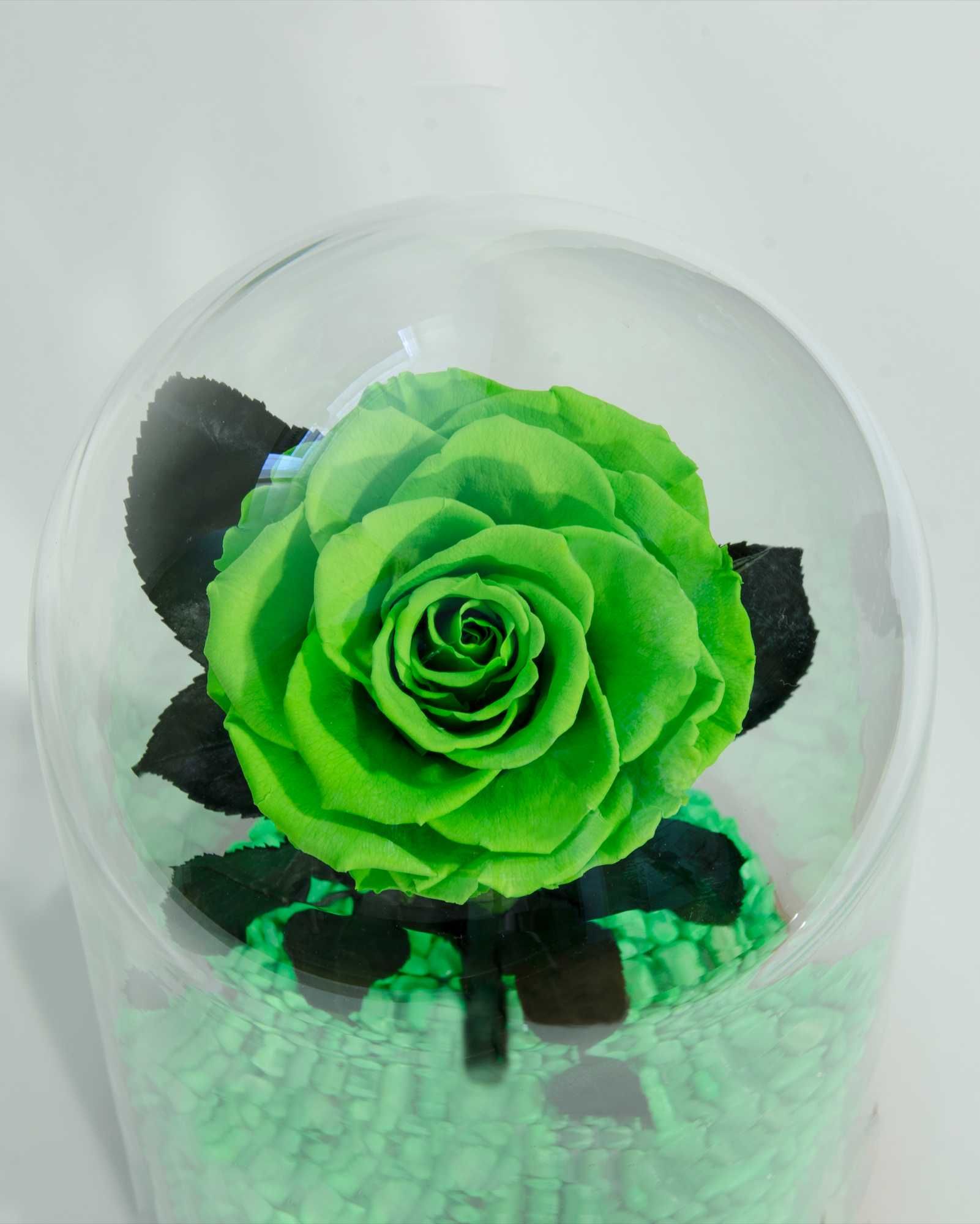 Зелена Вечна Роза в Стъкленица / Оригинален Подарък за Годишнина