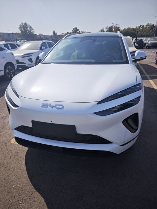 Byd Sea Lion 06 full