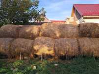 Baloți de vândut de lucernă