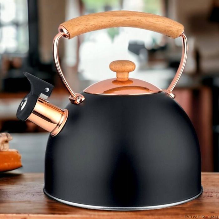 Ceainic din inox cu fluier, fierbator traditional, capacitate 2.5