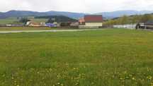 Teren de vanzare