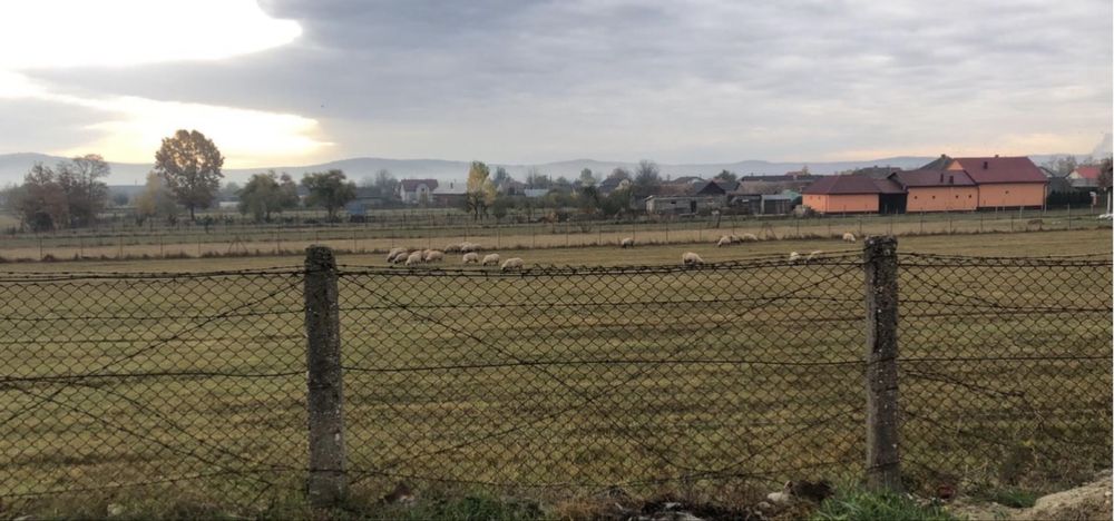 Vand teren intravilan!