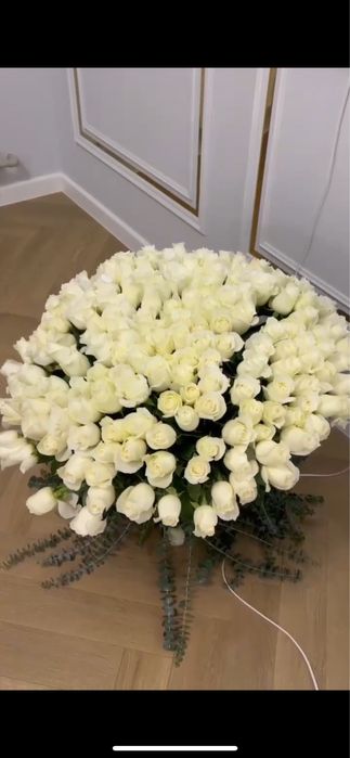 201 роза белая роза