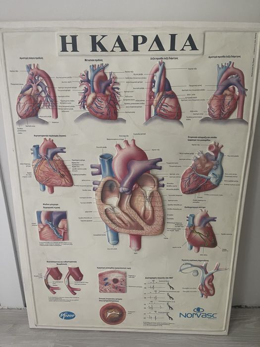 Принтове на Васил Ангелов с рамки