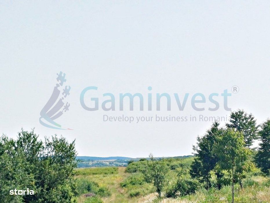 Gaminvest Teren intravilan , Saldabagiu de Munte, Bihor,V3719