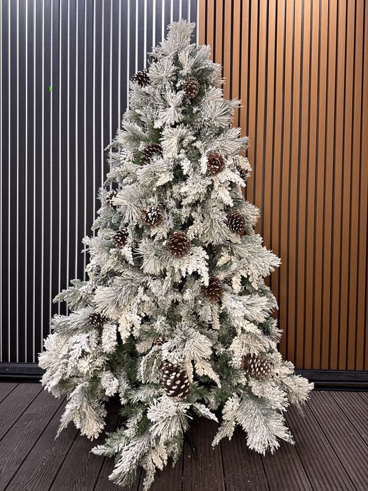 Елки разных видов и размеров