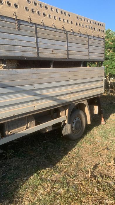 Transport animale vii