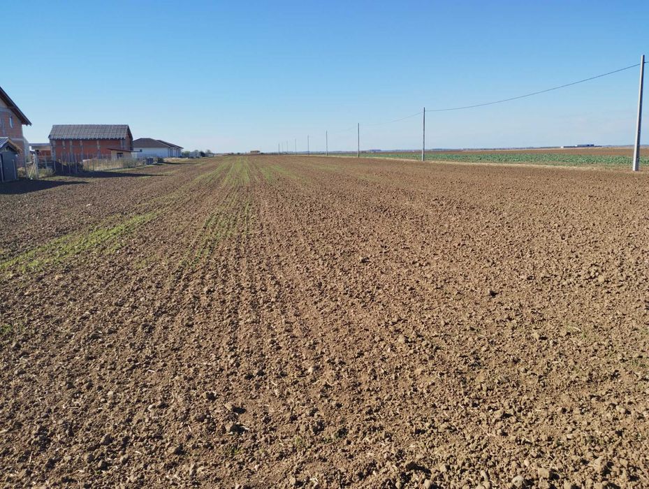 Vând  parcelele in Livada de  Bihor