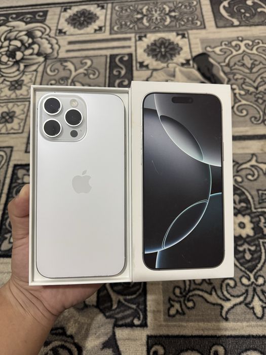 16 Pro Max/256 GB