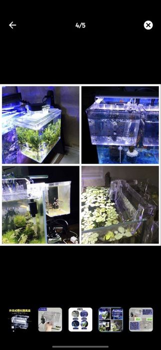 Продаётся Инкубатор для разведения живародок