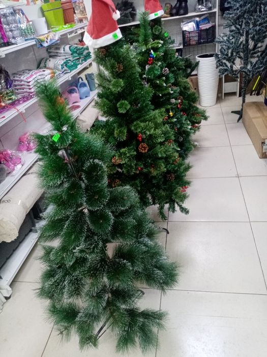 Продам ёлки от 8 000 тысяч