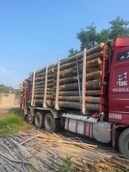 Lemn de foc/ cărbune lighnit