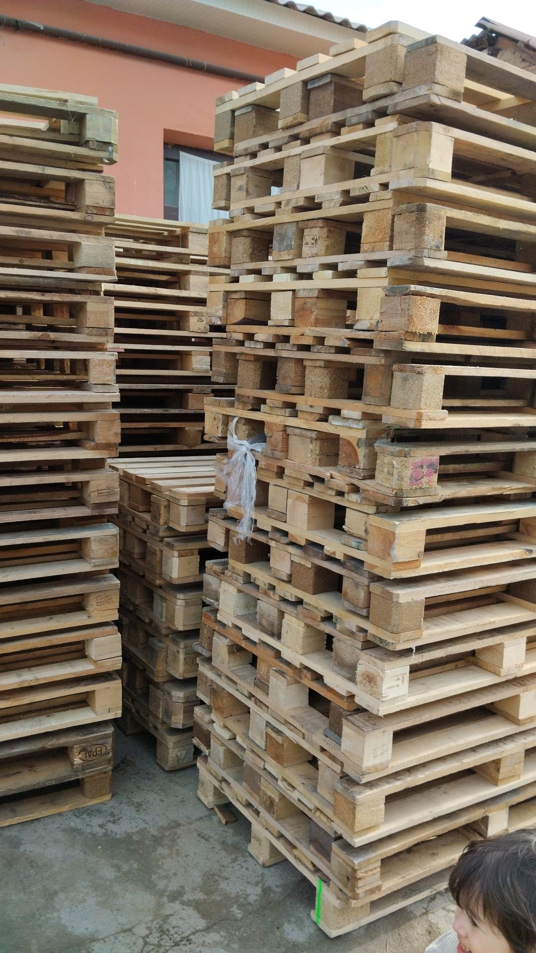 Paddonlar bor 120-80