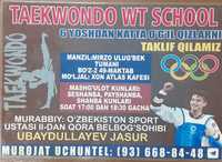 Taekwondo wt school
