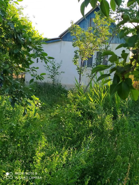 Дача  Сотилади манзил жондор туман