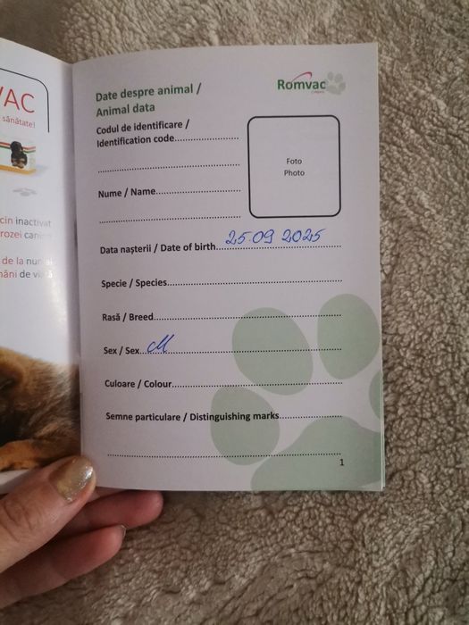 Pufos in cautare de iubire