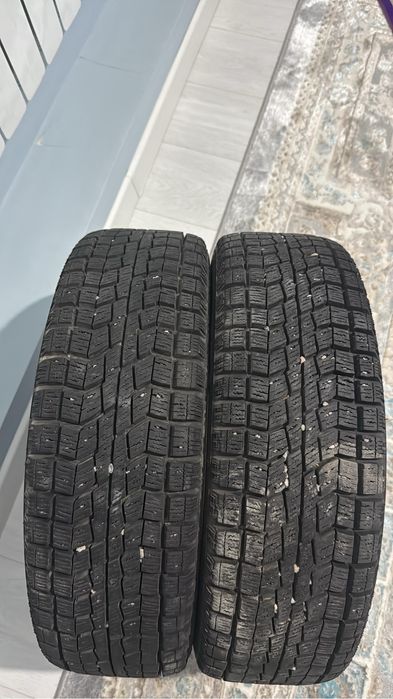 балон зимный балон зимный