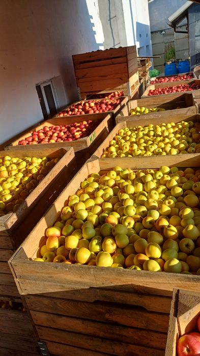 Vand mere calitatea 1