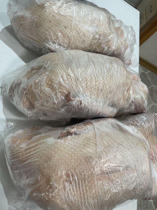 Продам гусей домашние чистые.