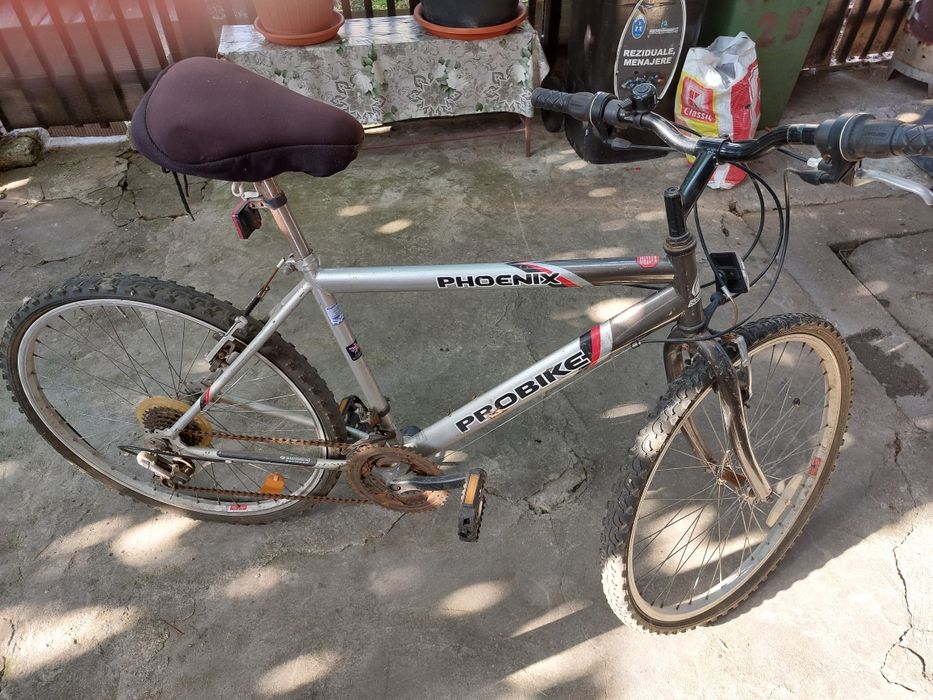 Bicicleta Pheonix pe 28