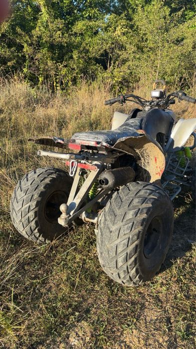 Bashan 250 cc.