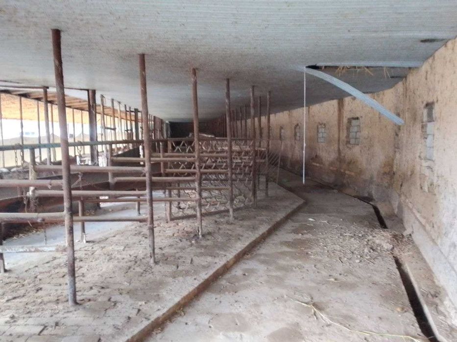 Тошкент вилояти Яангйол туманида 30 сотихди ферма сотилади