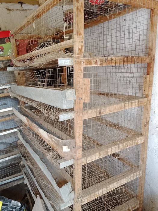 Tayyor bedana qafas sotiladi