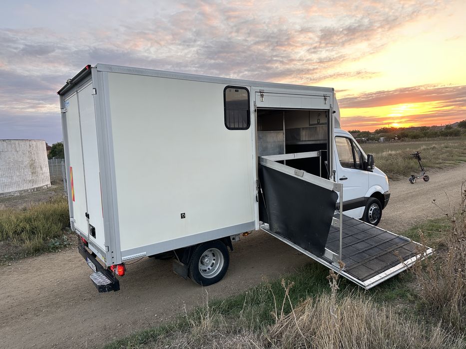 Mercedes sprinter transportanimale