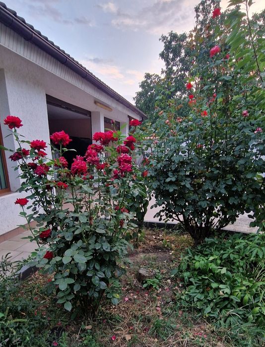 Casă de vânzare central