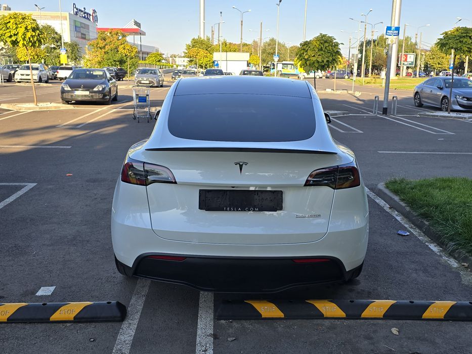 Tesla Y performers