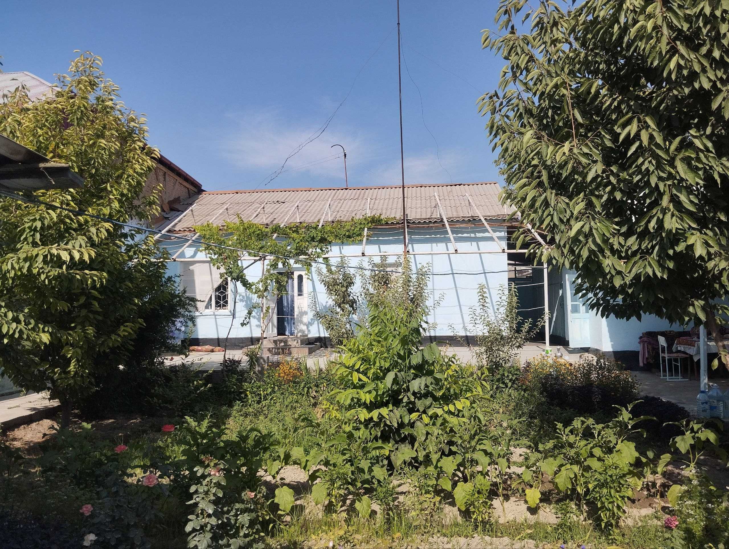 Уй сотилади, Жума шаҳри (Залиния) 8-мактаб олди. 5,6 соток