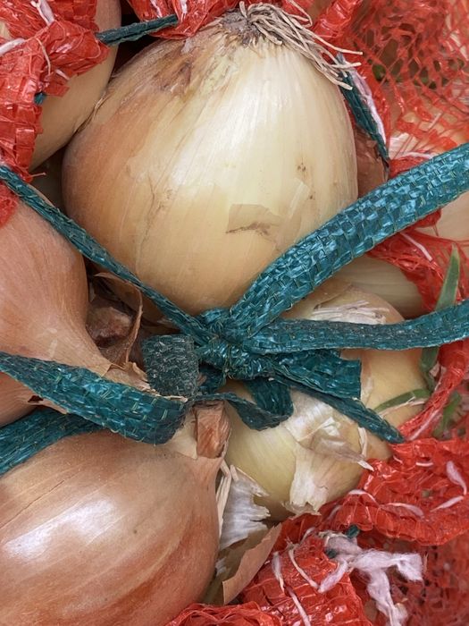 Продам лук свежий