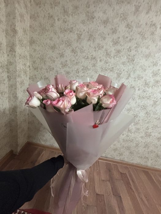 25 шт голодский роза , свежий