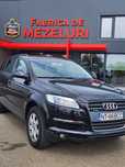 Q7 impecabil schimb variante x6 sau animale