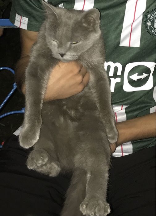 Narxi 800.000 kelishiladi manzil Buxoro