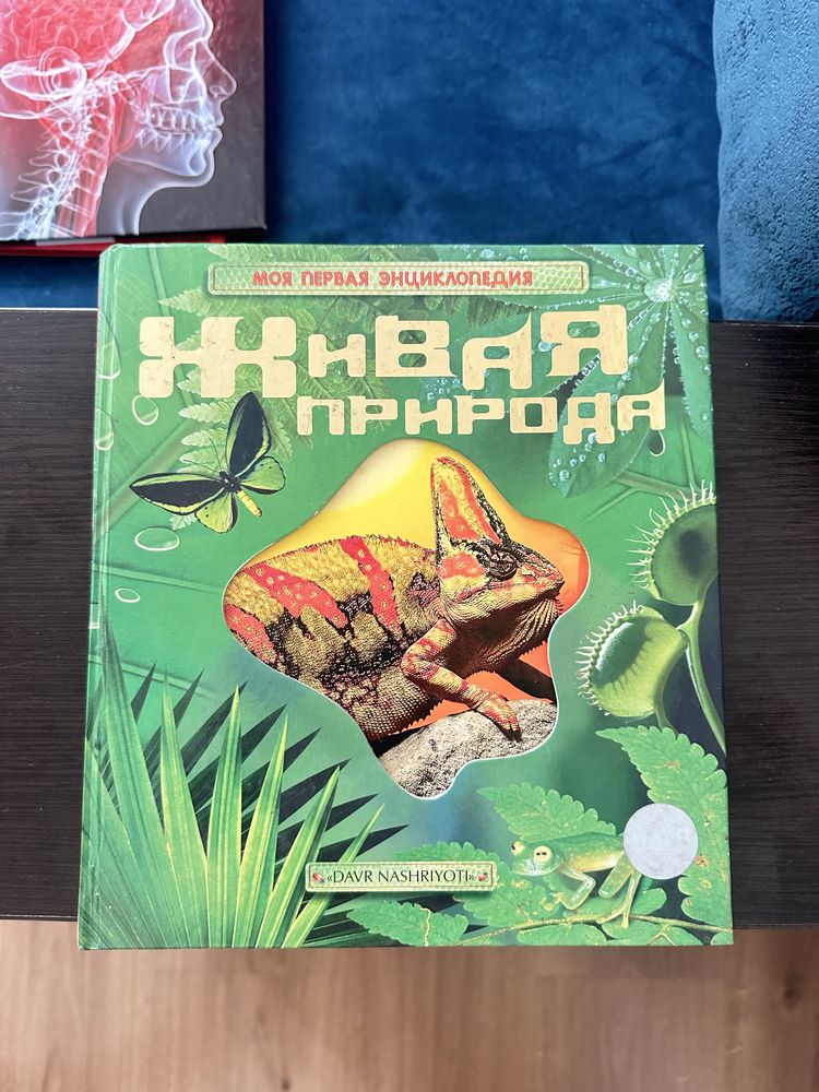 Детские энциклопедии новые