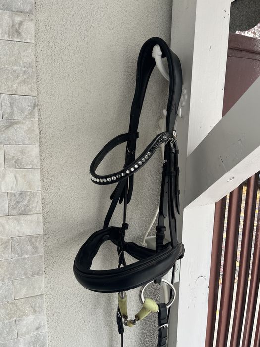 Vand capastru echitatie