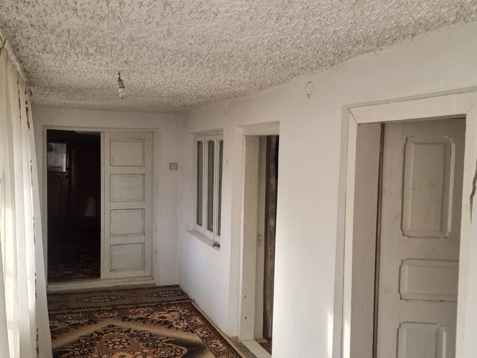 Casa + teren 6000mp, livada, vie - Sat Dumbraveni