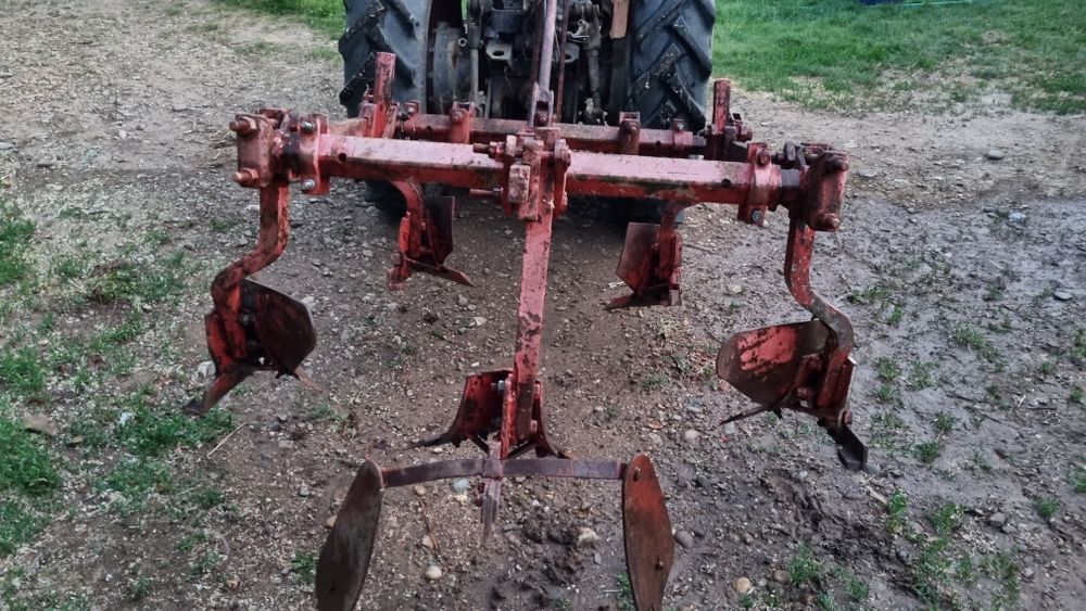 Plug de vie - 5 cormane