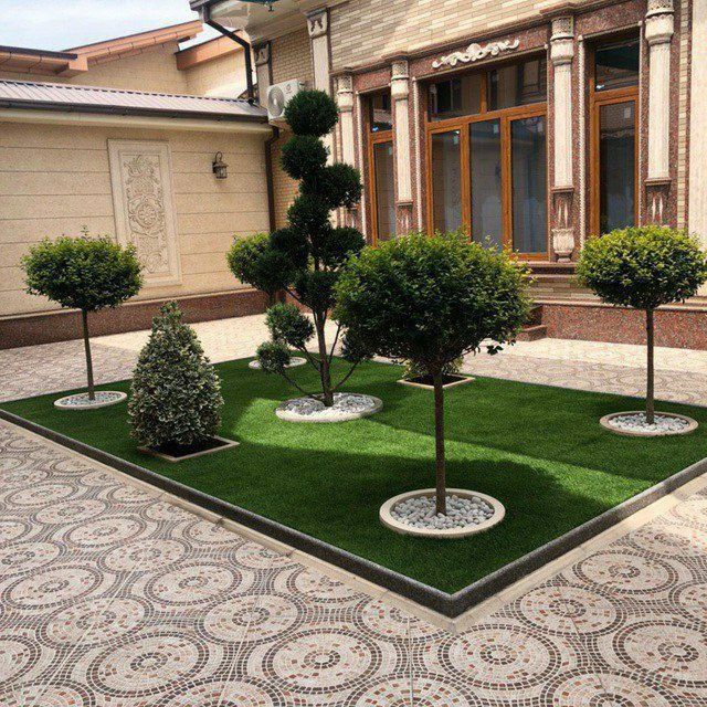 Landshaft oʻsimliklari