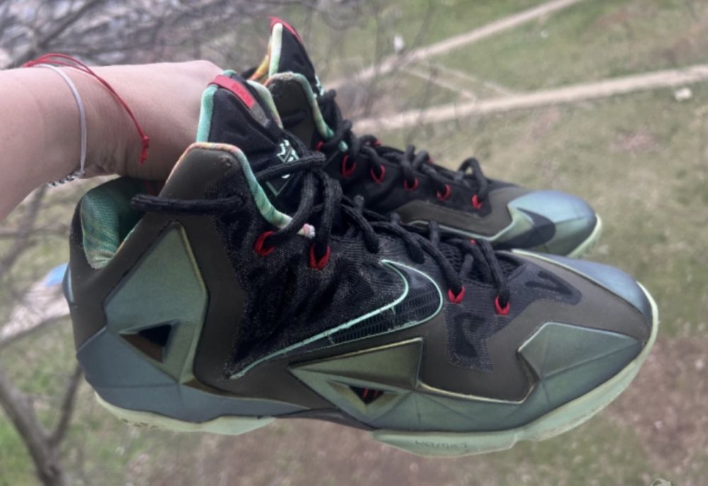 Nike LeBron 11 King's Pride — номер 44.5