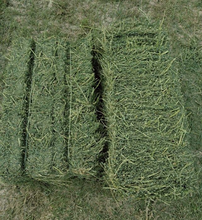 Беда прес тоза катта Доставкаси билан