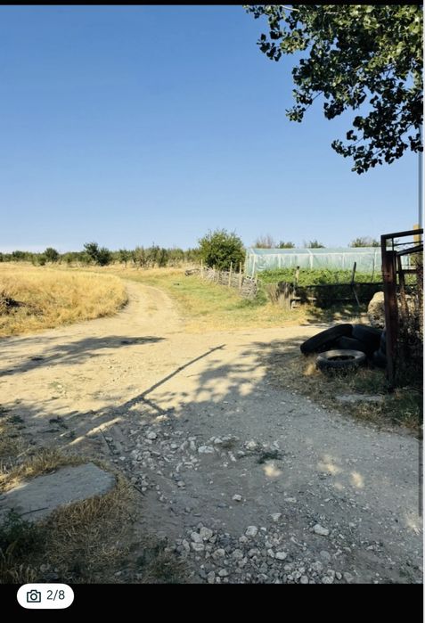 Vand plantatie vie 40 ha