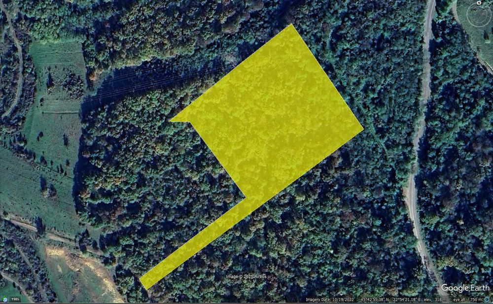 Teren forestier (padure) in Teliucu Inferior