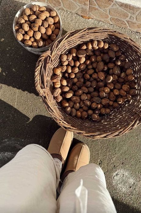 Vand miez de nuca NOU