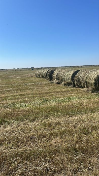 Продам сено рулоны