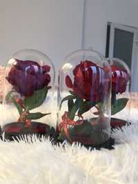 Trandafiri criogenati