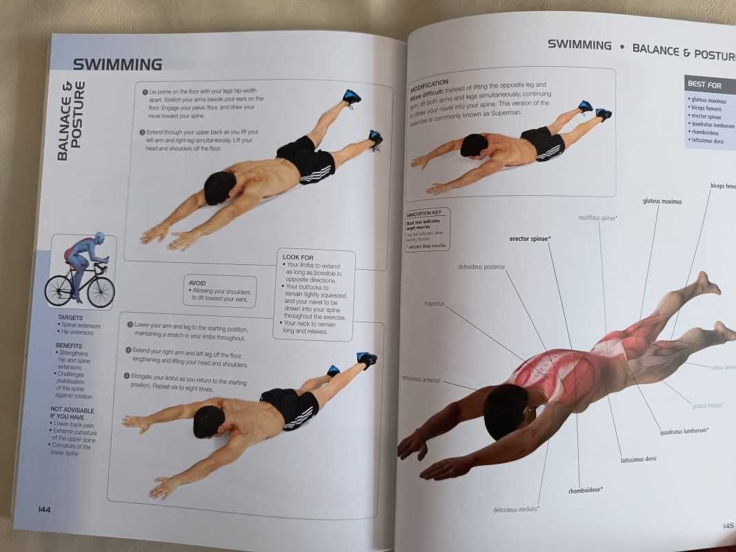 Pilates anatomy - Cycling Anatomy