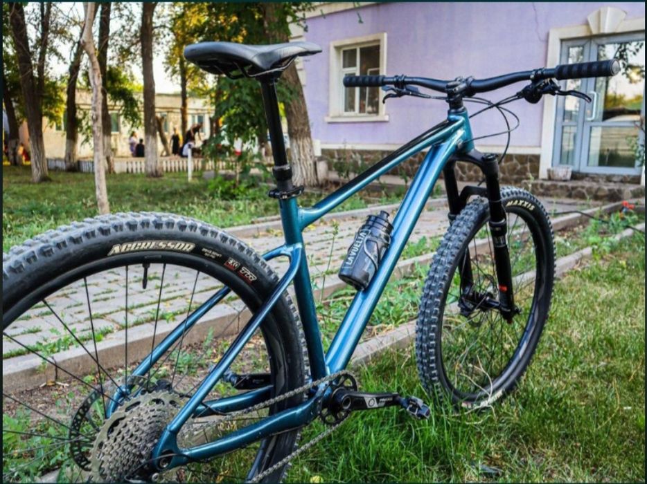 Giant Fathom 29 2