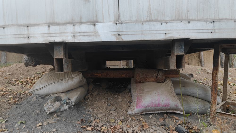 Gazel borti but butun